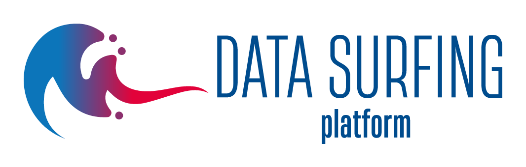 Logo Data Surfing Platform
